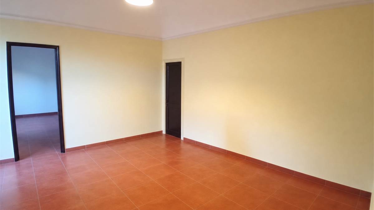 salone 